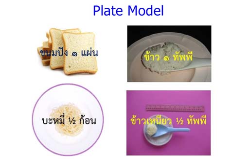 Plate model